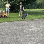 Sokolníci v MŠ